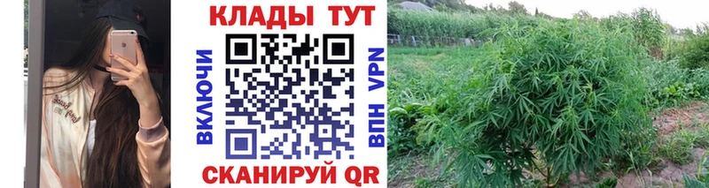 Купить наркотики Лабытнанги КОКАИН  NBOMe  Каннабис  Галлюциногенные грибы 