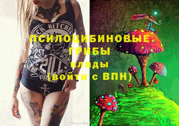 ПСИЛОЦИБИНОВЫЕ ГРИБЫ Абаза