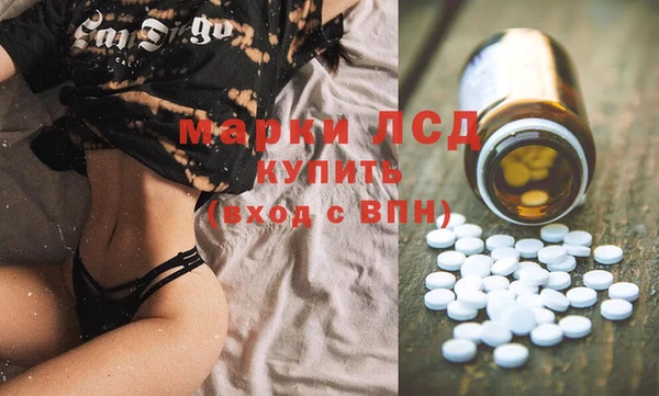 ПСИЛОЦИБИНОВЫЕ ГРИБЫ Абаза
