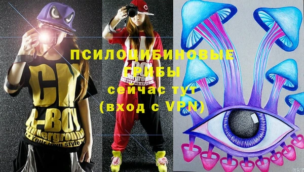 мяу мяу мука Абдулино