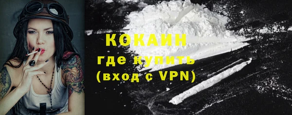 ПСИЛОЦИБИНОВЫЕ ГРИБЫ Абаза