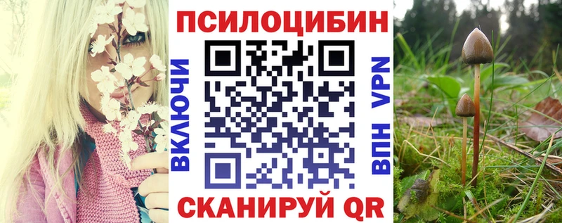Галлюциногенные грибы мухоморы Лабытнанги