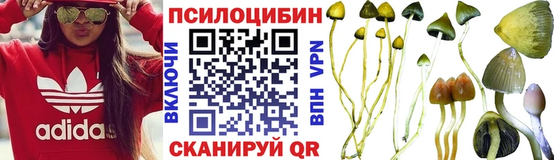Псилоцибиновые грибы мицелий  Лабытнанги 