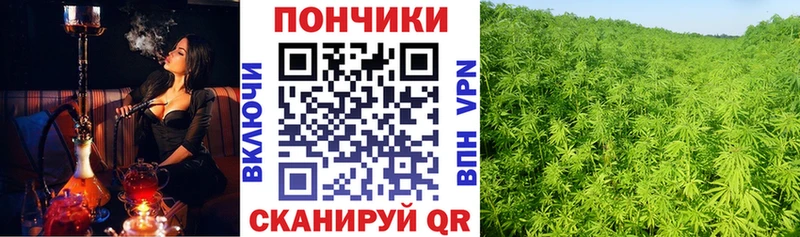 наркотики  Лабытнанги  Каннабис Amnesia 